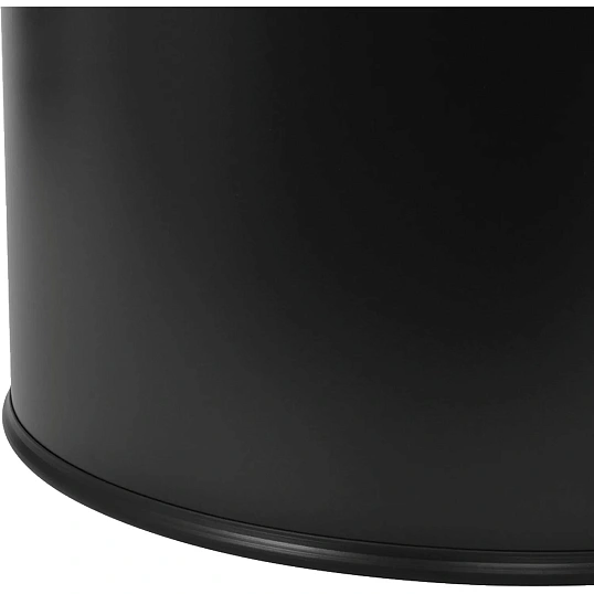 Контейнер для мусора (корзина) Luscan Prof 50л,матов.черный с кругл.крышкой