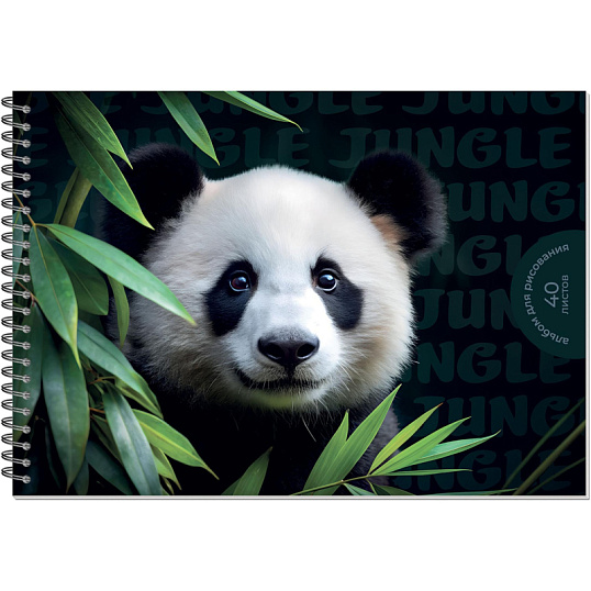 Альбом для рисования Комус Класс Дикие животные,А4,40л,спираль,в асс,2шт/уп