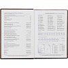 Ежедневник недатированный коричн, А5, 148x218, 352стр, Agenda