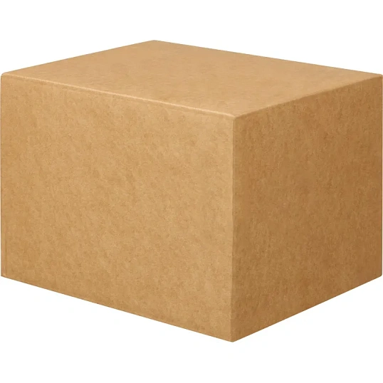 Пакет в упаковке Крафт С4стрип Largepack 229х324 мм100г200шт/уп/6286