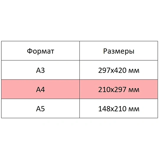 Альбом для рисования Kroyter А4 40л скл,бл.100г, Animals,диз.в асс.64454