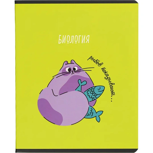 Тетрадь предметная набор Комус Класс  Котики 12 шт., 48., А5