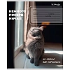 Тетрадь КЛЕТКА 24л. ЗАБАВНЫЕ КОТЫ - 6 цвет.мелов.обл.,ассорти 24-0896