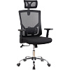 Кресло BN_SH_EChair-650 TC сетка/ткань черный