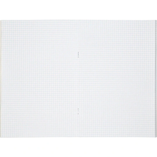 Книга учета Выбор есть А4 48л клетка блок типограф обл. картон