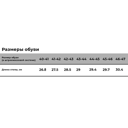 Сапоги мужские демисезонные Плутон цв. черный ЭВА р.40-41