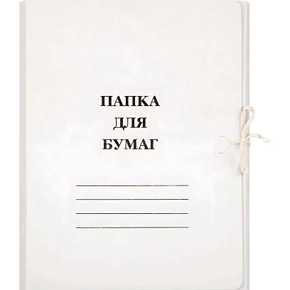 Папка с завязками Дело Элементари 320 г/м2 немелованная