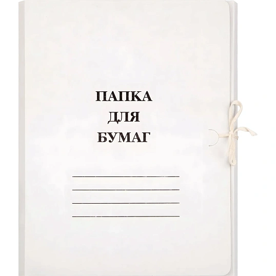 Папка с завязками Дело Элементари 320 г/м2 немелованная