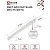 Фитосветильник светодиодный СПБ-Т5-ФИТО сине-крс спектр 15Вт 870мм IN HOME