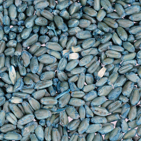 Средство от грызунов Штурм зерно 100г пакет ШТП100