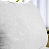 Подушка , 70х70см, (Полиэстер/Полиэстер), 650г, Белая ветка