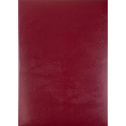 Папка Адресная б/в бордо 15А000 Без тиснения /10/ 15А000_б
