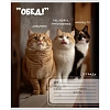 Тетрадь КЛЕТКА 24л. ЗАБАВНЫЕ КОТЫ - 6 цвет.мелов.обл.,ассорти 24-0896