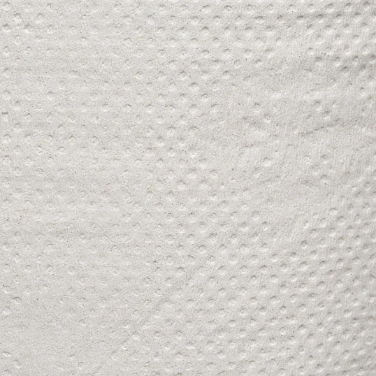 Бумага туалетная д/дисп 1сл сер втор 200ф 12рул/уп 0024А