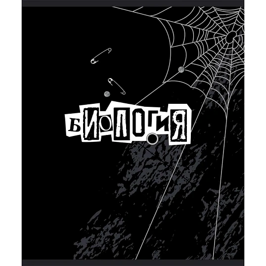 Тетрадь предметная набор №1 School/Комус Класс Панк 48л А5 10 предметов