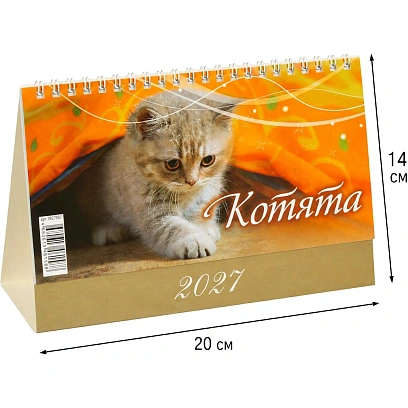 Календарь-домик настольный 2027 Котята 1спир 200х140  0927007