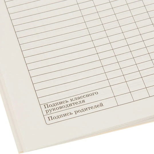 Дневник  школьный 40л. БЕЛЫЙ СТАНДАРТ, Д40-0495
