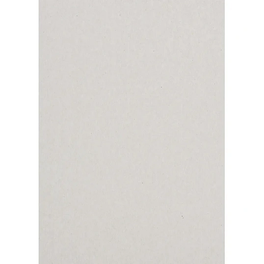 Картон цветной  10л.10цв.А4 мелован(золото+сереб) Отличник