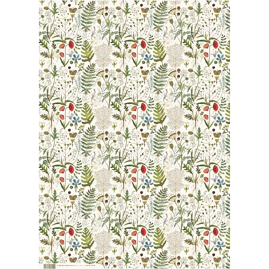 Бумага упаковочная FLORA.ЛУГОВЫЕ ТРАВЫ, 50 х 70 см (4 листа) 2-794/01