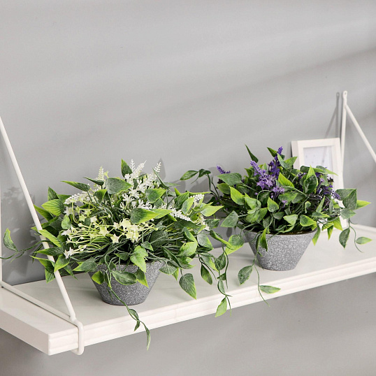 Растение бонсай в горшке Лиана и мелкие цветочки 11х16 см, микс 4642631