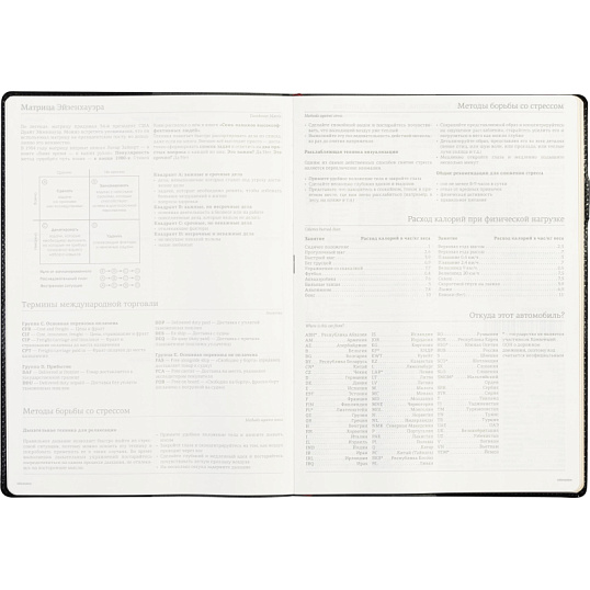 Еженедельник недатированный черный,кожа,A4 64л,Br.V.PROFY 3-098/02