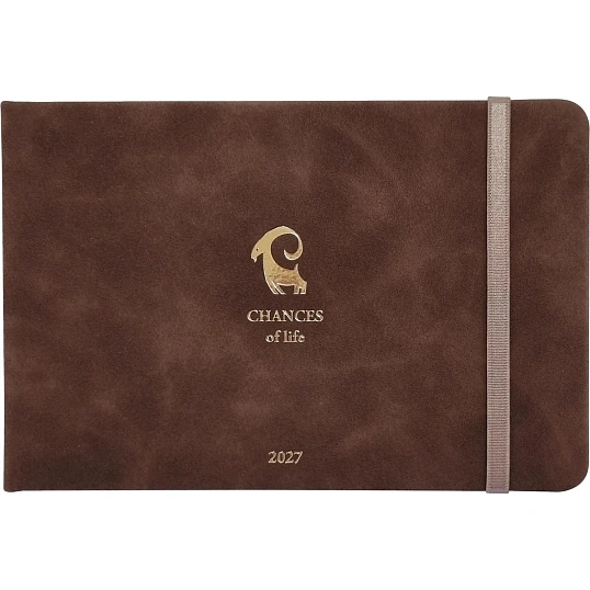 Еженедельник датированный 2027 IF 160x105 64л тверд с рез Шанс I2052/brown