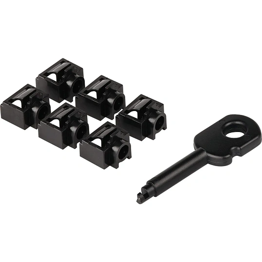 Вставка заглушек порта RJ-45 LANMASTER LAN-SEC45-PL-SET-BK 6шт/уп+ключ чер