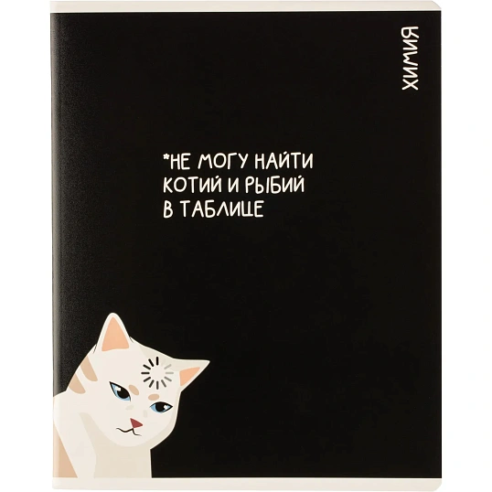 Тетрадь предметная КОТЫ МЕМЫ, набор12 шт.48л,А5+, клетка/линия/71449