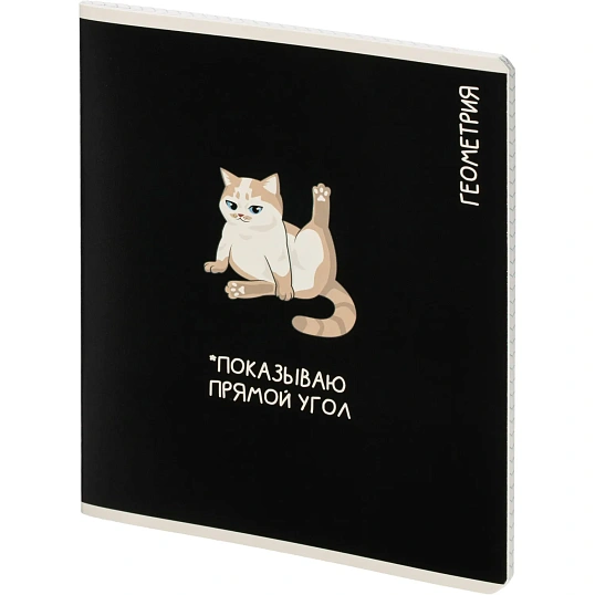 Тетрадь предметная КОТЫ МЕМЫ, набор12 шт.48л,А5+, клетка/линия/71449