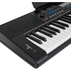 Синтезатор Denn DEK604NG, 61 клавиша