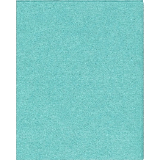 Салфетки хозяйственные Luscan Professional виск 90г/м2 30х38 5шт/уп зеленые