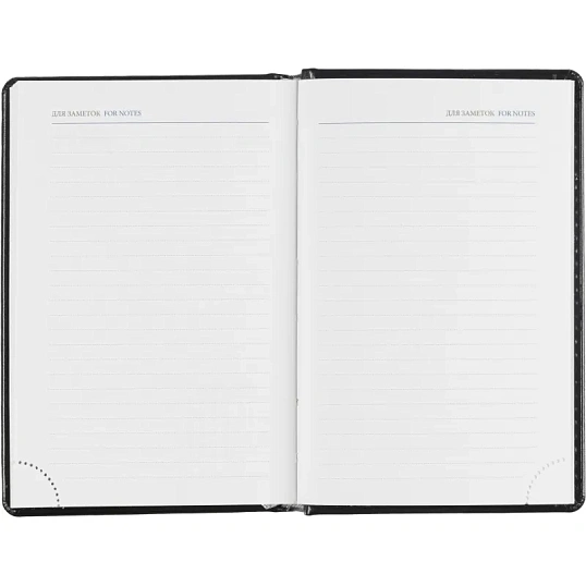 Ежедневник датированный 2026, черный,А6, 100х150 мм,336 стр,Agenda