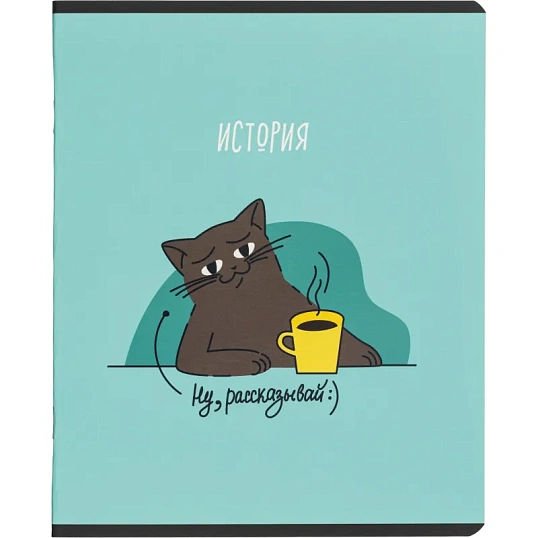 Тетрадь предметная набор Комус Класс  Котики 12 шт., 48., А5