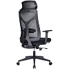 Кресло RV_Astra W-365A Черный