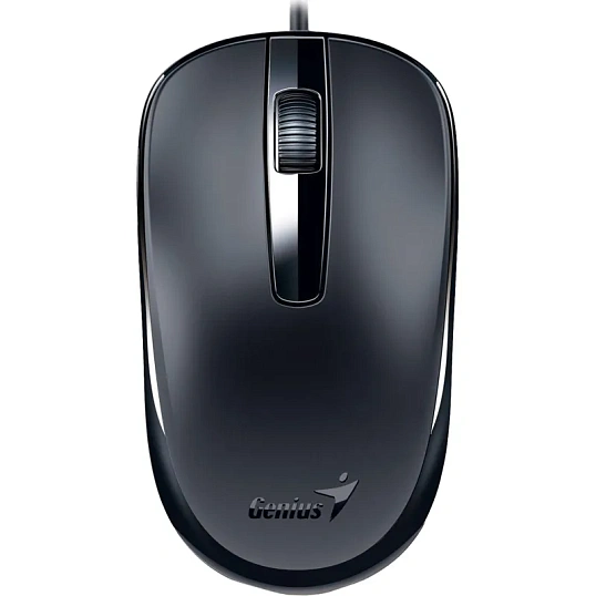 Мышь компьютерная Genius DX-120, Optical, USB, 1000dpi, Black, 31010010400