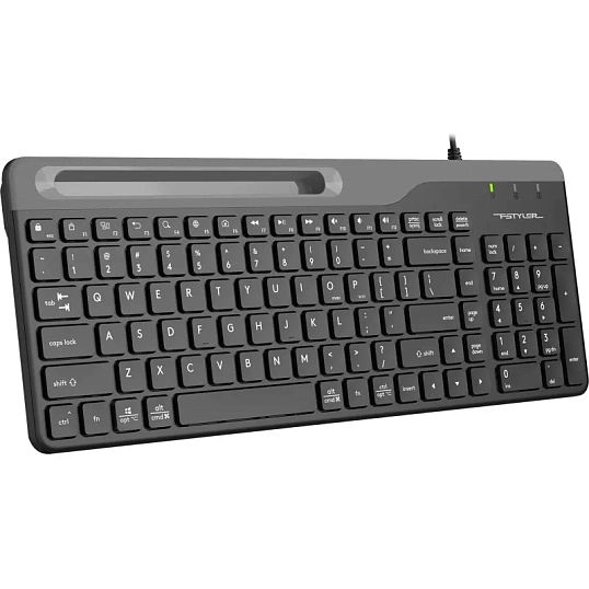 Клавиатура A4Tech Fstyler FK25 черный USB slim