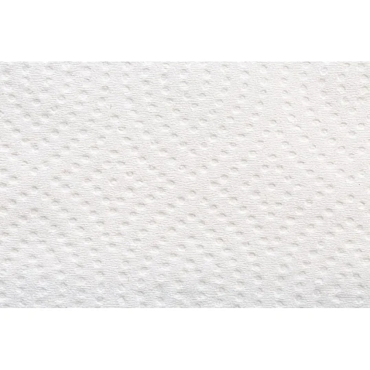 Полотенца бумажные д/дисп. FOCUS Eco Vсл 1сл бел 250л 15пач/уп 5083742 п/э