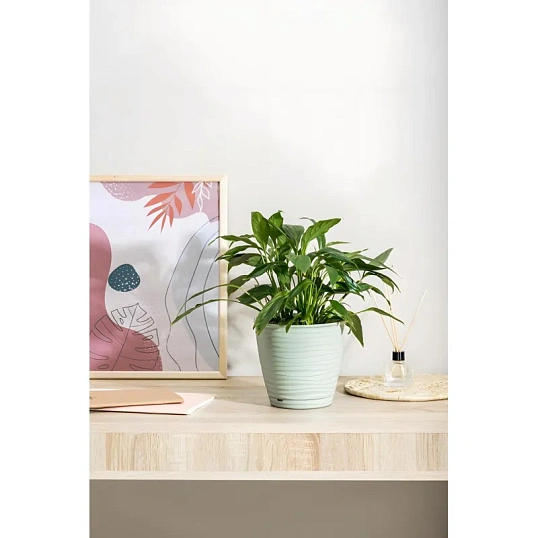 Горшок д/цветов Saffron D177мм,2,6л с поддоном (светло-зеленый),221610217