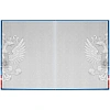 Дневник школьника СИМВОЛИКА ФЛАГ 7БЦ,А5+,48л,глянц. 69753