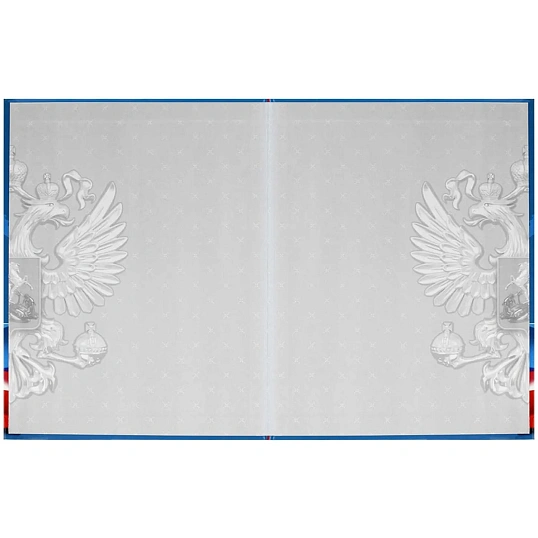 Дневник школьника СИМВОЛИКА ФЛАГ 7БЦ,А5+,48л,глянц. 69753