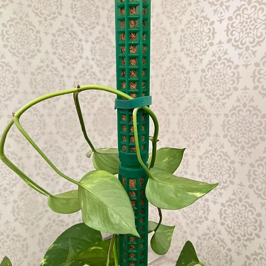 Опора наборная д/раст h38см, d3,5 мм,2шт/уп, лента-липучка L1м,зелен,266545