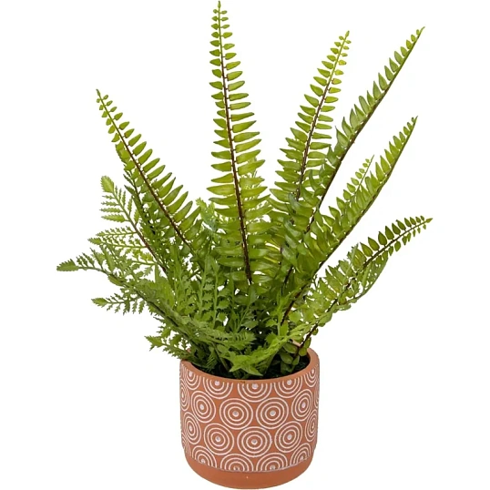 Растение Цветок искусственный Папоротник керам горшке, Д120 Ш120 В420,Mia12