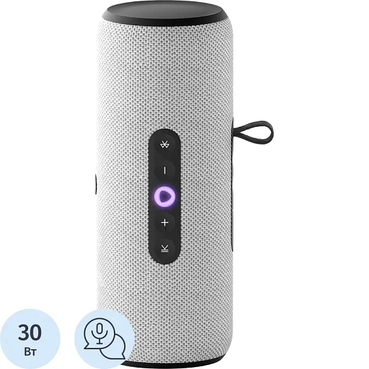 Умная колонка Яндекс Станция Стрит с Алисой, серый (YNDX-00030GRY)