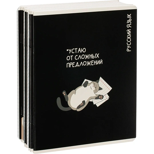 Тетрадь предметная КОТЫ МЕМЫ, набор12 шт.48л,А5+, клетка/линия/71449