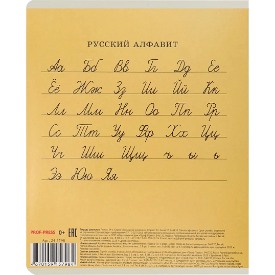 Тетрадь ЛИНИЯ 24л. ДОМАШНИЕ КОШЕЧКИ цвет.мелов.обл.ассорти,24-5798