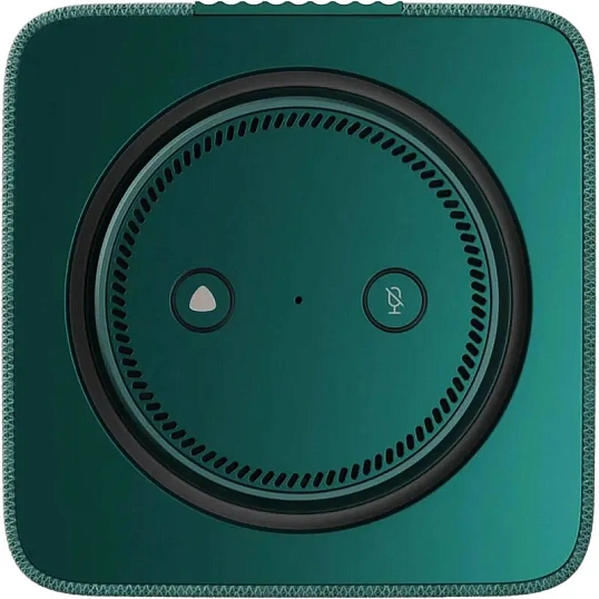 Умная колонка Яндекс Станция Макс Zigbee, зеленый/green (YNDX-00053Z)