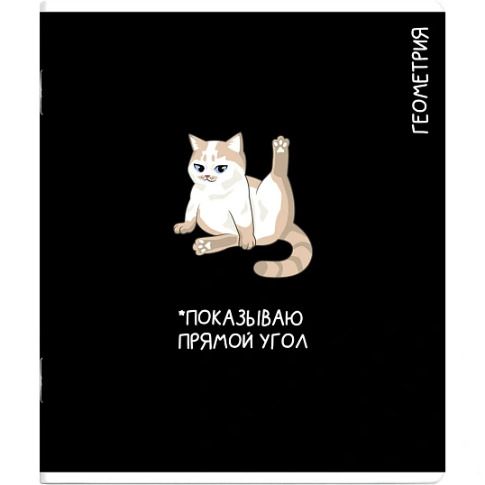 Тетрадь предметнaя ГЕОМЕТРИЯ 'КОТЫ МЕМЫ' 48 л., А5+,клетка, справ.инф/69821