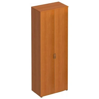 Шкаф ST_Формула для одежды ФР 307/313 ОЕ 800х450х2190 ольха европейская