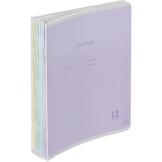 Тетрадь КОСАЯ ЛИНИЯ 12л.проз.пласт.обл. КЛАССИКА NEW ассорти,12-1419