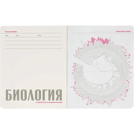 Тетрадь предметная 10 шт/набор, СЕРИЯ MONOCOLOR, 7-48-1401/26